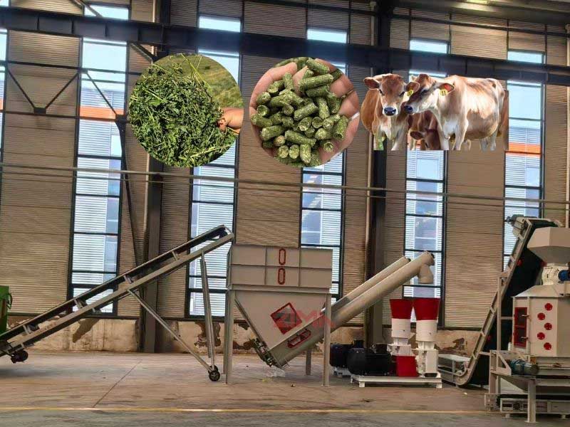 1~2ton/h Cattle Feed Production Line 50% Grass formula Poultry Feed Mill Plant